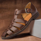 Dark Brown / 7