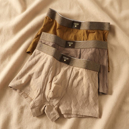 Ashton | Men's 3-Pack Organic Cotton Boxer Briefs