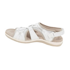 White / 5
