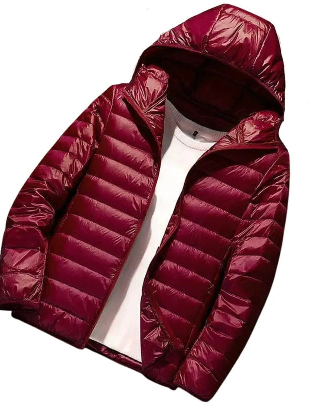 Men’s AeroLite Hooded Puffer Jacket