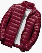 Burgundy (Collar Style)