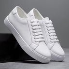 White / 6.5