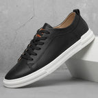 Black / 6