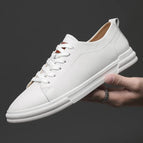 White / 6