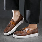 Brown / 6