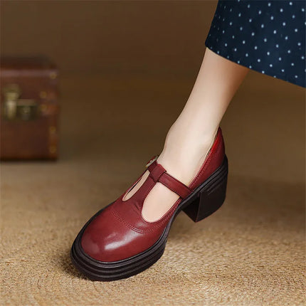 Women’s Mary Jane Block Heel Shoes