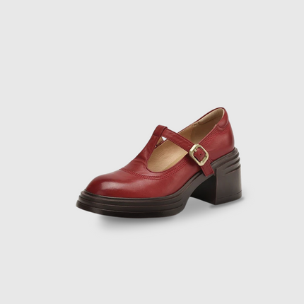 Women’s Mary Jane Block Heel Shoes