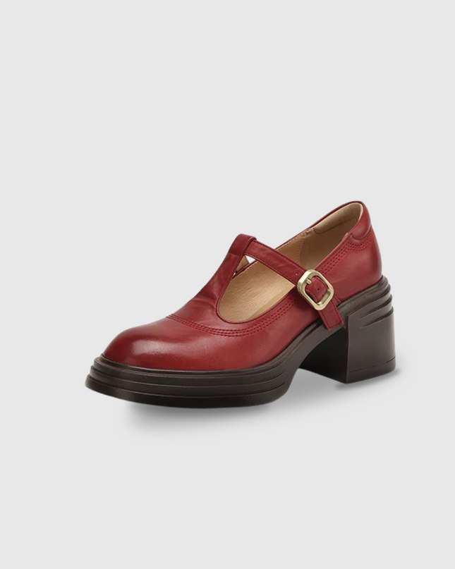 Women’s Mary Jane Block Heel Shoes