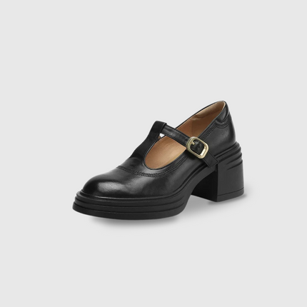 Women’s Mary Jane Block Heel Shoes