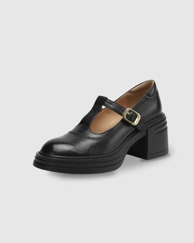 Women’s Mary Jane Block Heel Shoes