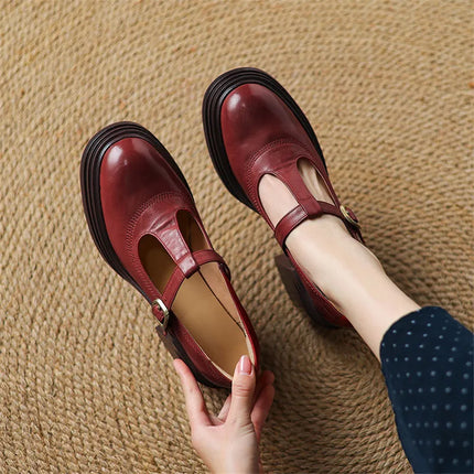 Women’s Mary Jane Block Heel Shoes